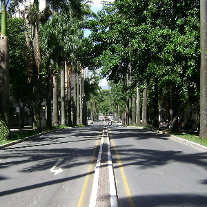 Funcionarios - Belo Horizonte